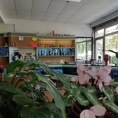 База відпочинку Villaggio Accademia *
